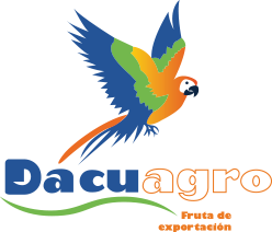 Cacao orgánico del Ecuador exportado por Dacuagro